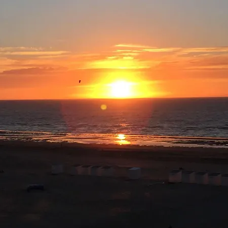 Studio Abi * Oostduinkerke